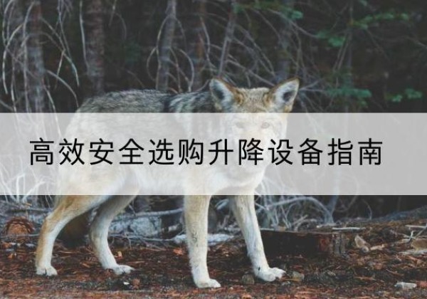 四会升降货梯厂家推荐-*安全选购升降设备指南