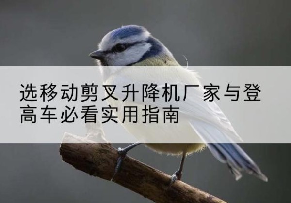 四会电动升降机厂家-选移动剪叉升降机厂家与登高车必看实用指南
