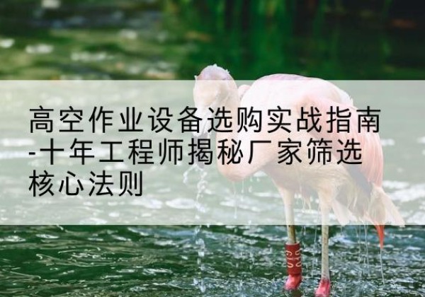 四会剪叉式升降机厂家-高空作业设备选购实战指南-十年工程师揭秘厂家筛选核心法则